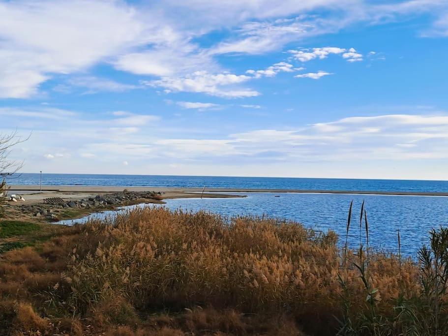 Apartamento 1A Linea De Mar Empuriabrava Exteriör bild